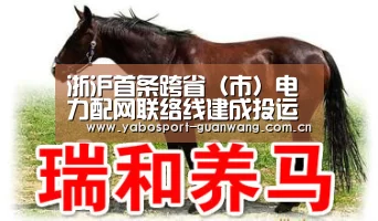 浙沪首条跨省(市)电力配网联络线建成投运‘亚博首页’(图1) 亚博首页