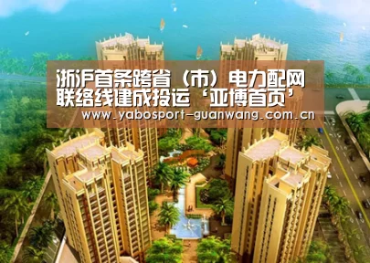 浙沪首条跨省(市)电力配网联络线建成投运‘亚博首页’(图3) 亚博娱乐